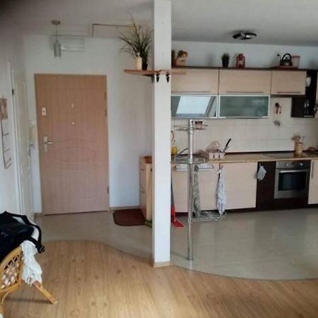 Jasne Czyste I Zadbane Mieszkanie Blisko Lotniska Gdansk Dış mekan fotoğraf