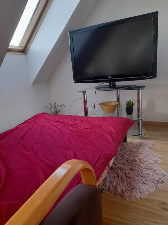 Jasne Czyste I Zadbane Mieszkanie Blisko Lotniska Gdansk Dış mekan fotoğraf